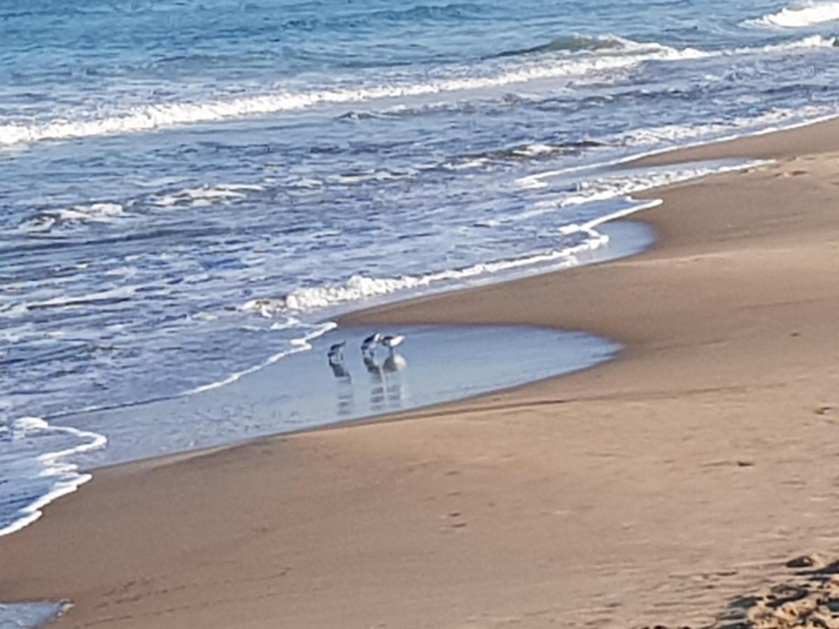 Exclusive Apartment - Playa De Marenys De Rafalcaid Gandía Eksteriør bilde