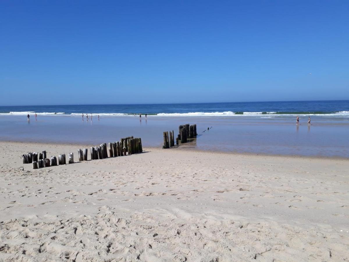 Exclusive Apartment - Playa De Marenys De Rafalcaid Gandía Eksteriør bilde