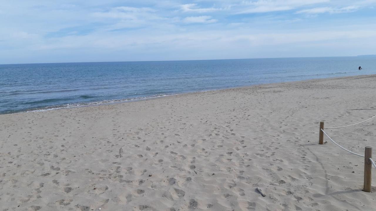 Exclusive Apartment - Playa De Marenys De Rafalcaid Gandía Eksteriør bilde