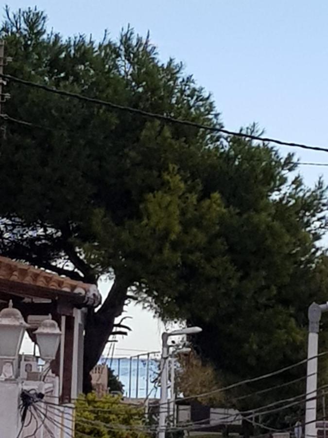 Exclusive Apartment - Playa De Marenys De Rafalcaid Gandía Eksteriør bilde