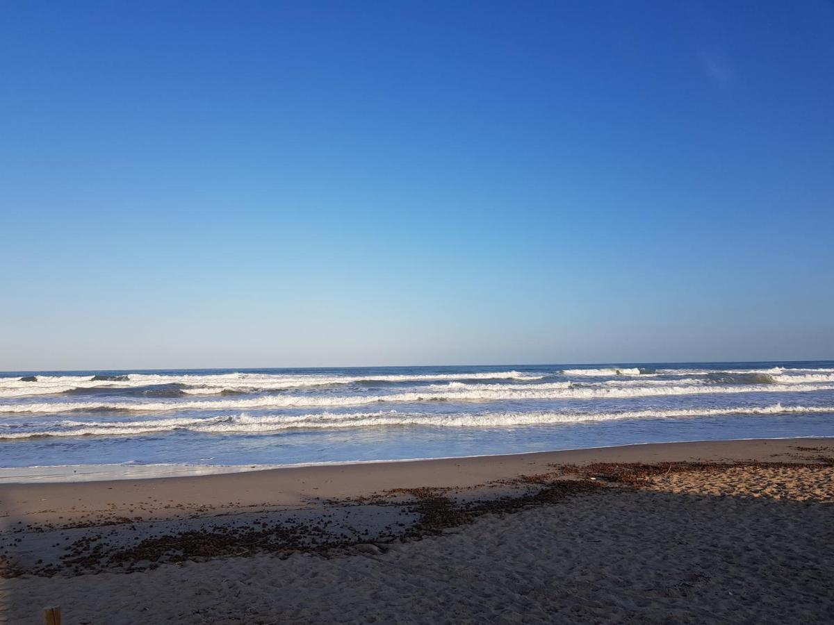 Exclusive Apartment - Playa De Marenys De Rafalcaid Gandía Eksteriør bilde